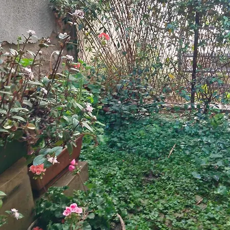 Mavipagi 2 לינה וארוחת בוקר ורונה
