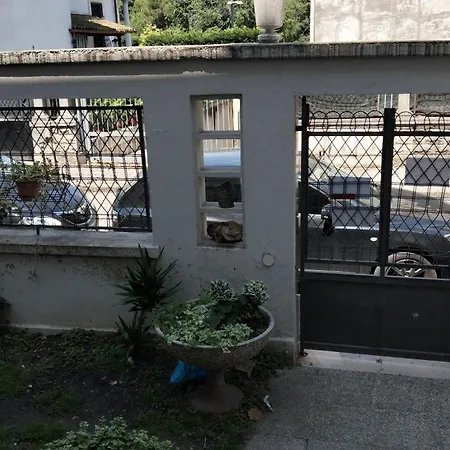 Mavipagi 2