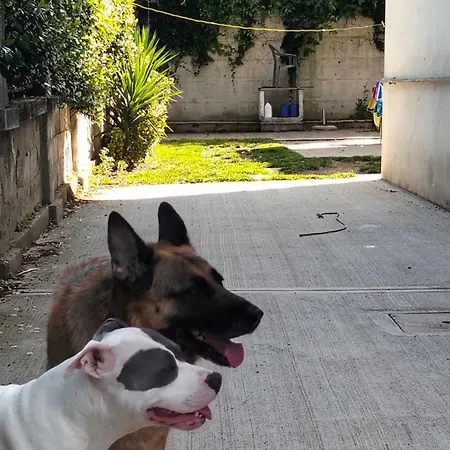 לינה וארוחת בוקר Mavipagi 2 ורונה